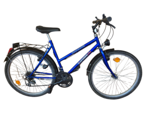 Modro mladinsko mammoth kolo
